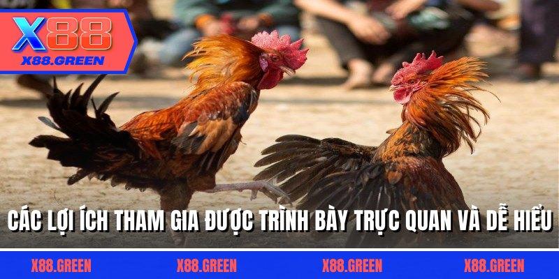 Các lợi ích tham gia được trình bày trực quan và dễ hiểu
